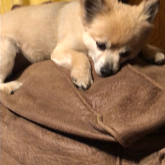 Meet your Posher, Kerry - Picture 9 of 16